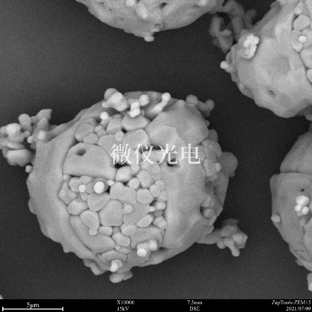 臺式掃描電鏡與傳統(tǒng)落地式掃描電鏡有什么區(qū)別呢？